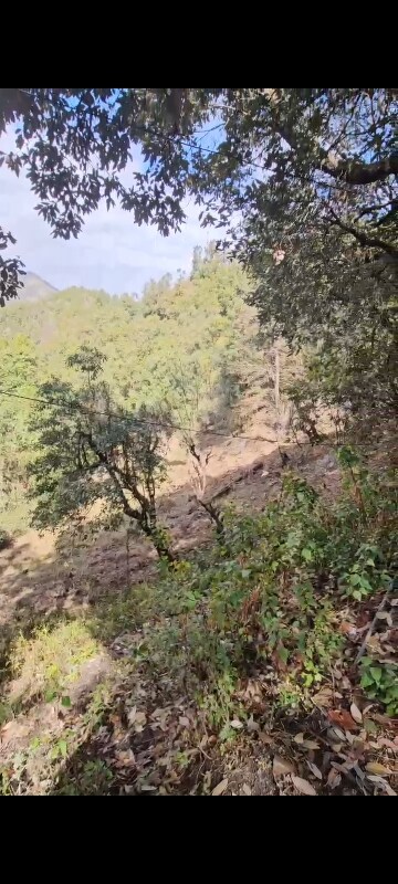  Land – Garden View at Ramgarh - for Sale