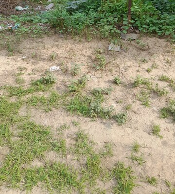  Plot For Sale in Sector 64