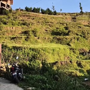 Plot Area in  Land at Dhanachuli – for Sale