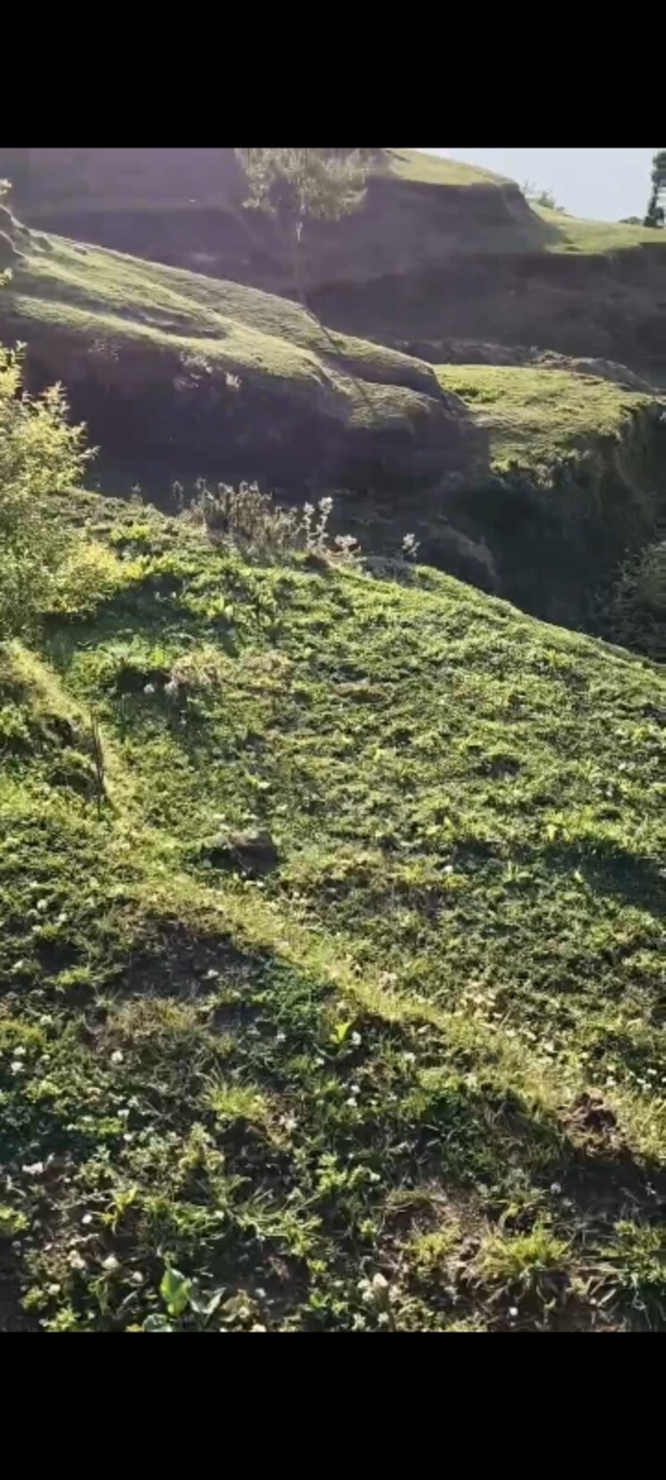 Garden, dhanachuli Commercial Land 4300 Sq.Ft. In Dhanachuli Nainital 8913790