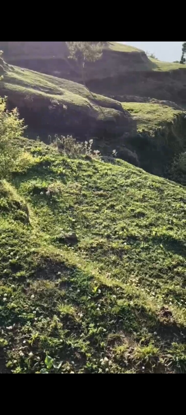 Garden, dhanachuli Commercial Land 4300 Sq.Ft. In Dhanachuli Nainital 8913790