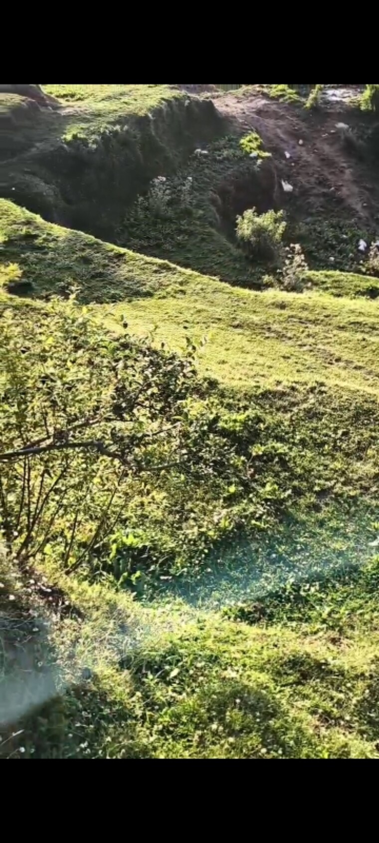 Garden, dhanachuli Commercial Land 4300 Sq.Ft. In Dhanachuli Nainital 8913790