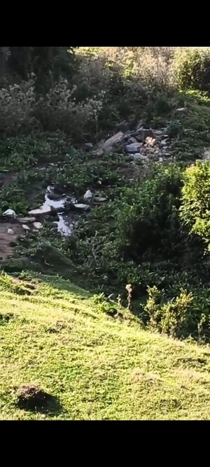 Plot Area in  Land at Dhanachuli – for Sale