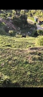 4300 Sq.Ft. Land in Laxmi Project 