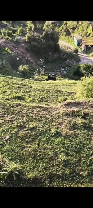  Land For Sale in Dhanachuli