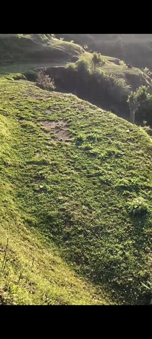  Land – Garden View at Dhanachuli - for Sale