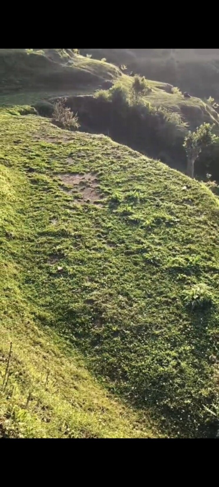 Garden, dhanachuli Commercial Land 4300 Sq.Ft. In Dhanachuli Nainital 8913790