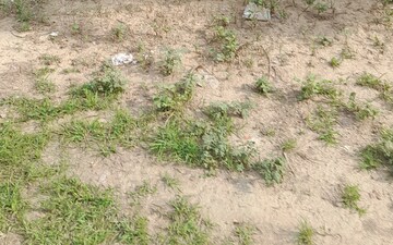 Plot For Sale in Sector 65