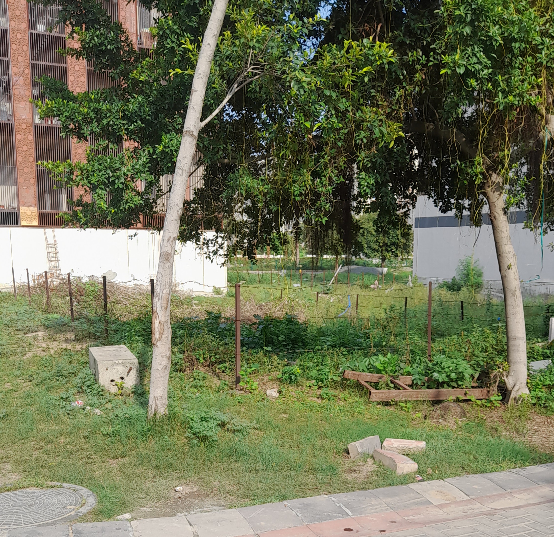 Plot For Sale in Sector 65