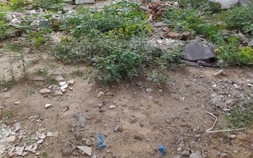 Plot For Sale in Sector 65