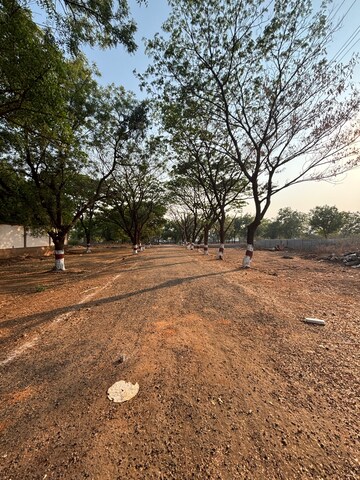 Plot Area in  Plot at Shamshabad – for Sale