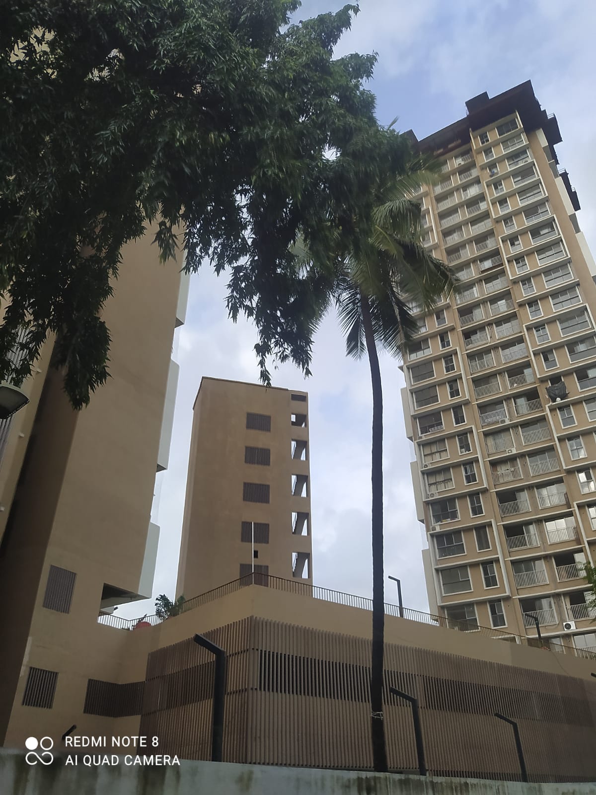 2 BHK Apartment For Rent in Kolte Patil Vaayu