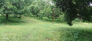  Plot For Sale in Navita, Madhyamgram