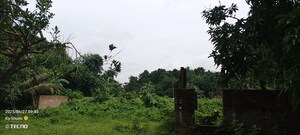 Plot Area in  Plot at Navita, Madhyamgram – for Sale