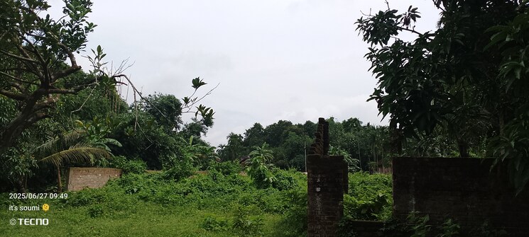 undefined, navita  4 Acre Plot In Madhyamgram Kolkata 8913924