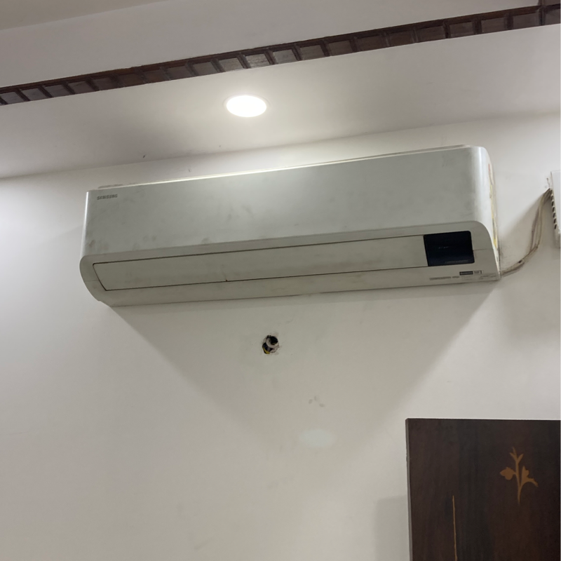 3 BHK + Pooja Room Builder Floor For Rent in RWA Apartments Sector 37