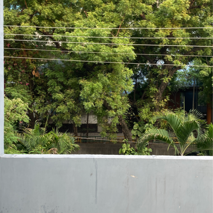 Garden, rwa-apartments-sector-37 3 Bedroom 4500 Sq.Ft. Builder Floor In Arun Vihar Noida 8914094