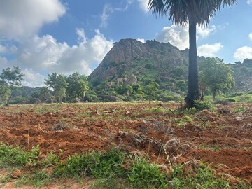  Land For Rent in Green Acres, Moinabad
