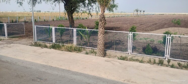 undefined, dholera  1098 Sq.Ft. Plot In Dholera Ahmedabad 8914387