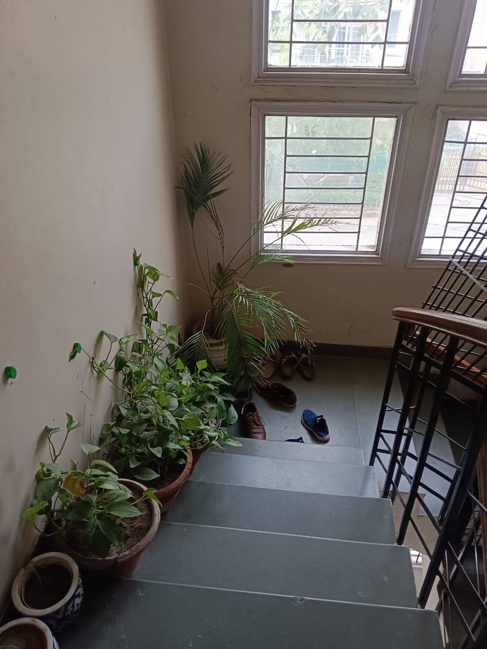 3 BHK + Pooja Room Builder Floor For Sale in Sushant Lok 2