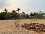 558657 Sq.Ft. Land in Chiplun