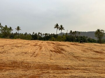 Plot Area in  Land at Chiplun – for Sale