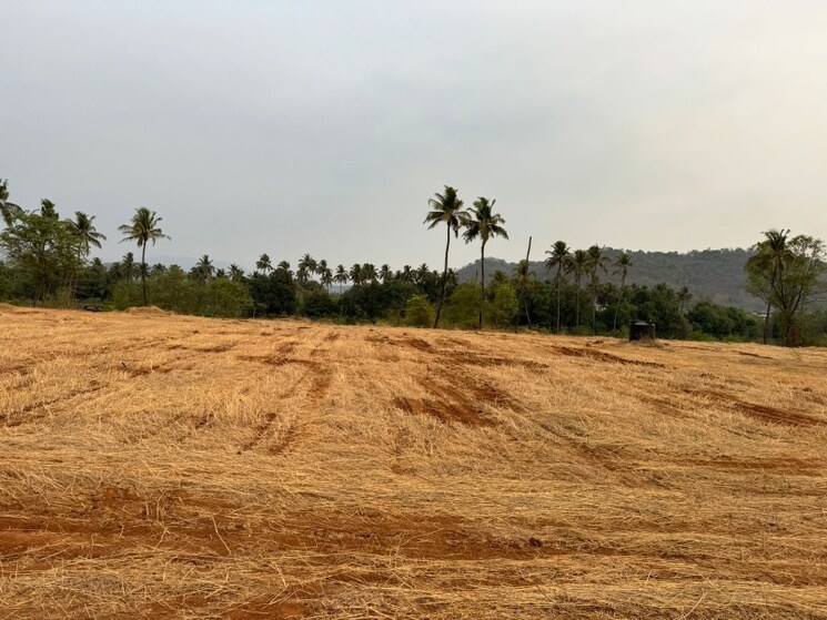 undefined, chiplun Commercial Land 558657 Sq.Ft. In Chiplun Ratnagiri 8910076