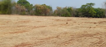 Plot Area in  Land at Chiplun – for Sale