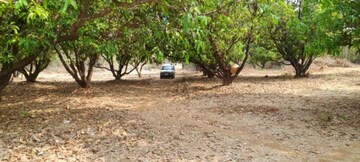 Plot Area in  Land at Chiplun – for Sale