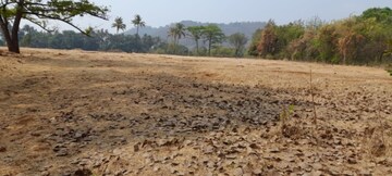 Plot Area in  Land at Chiplun – for Sale