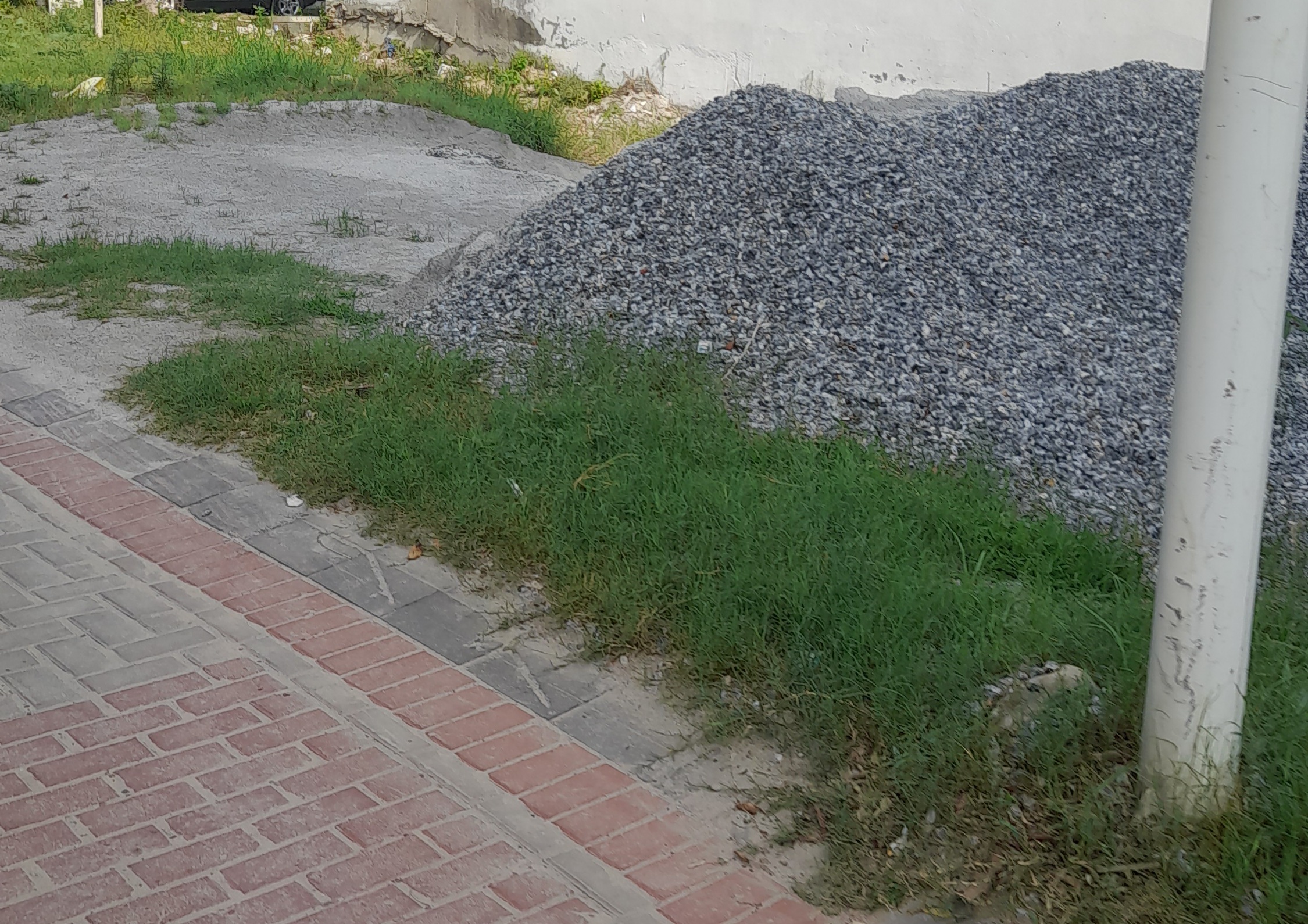 Plot For Sale in Sector 84