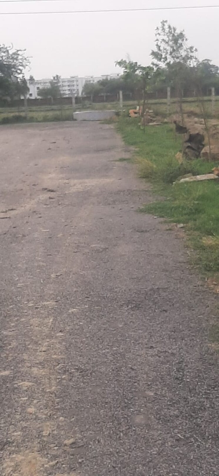 undefined, raebareli road  1240 Sq.Ft. Plot In Raebareli Road Lucknow 8914879