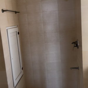 Bathroom in 2 BHK Apartment at BPTP The Resort, Mortzapur – for Sale