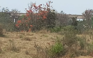 Land For Sale in Gachibowli