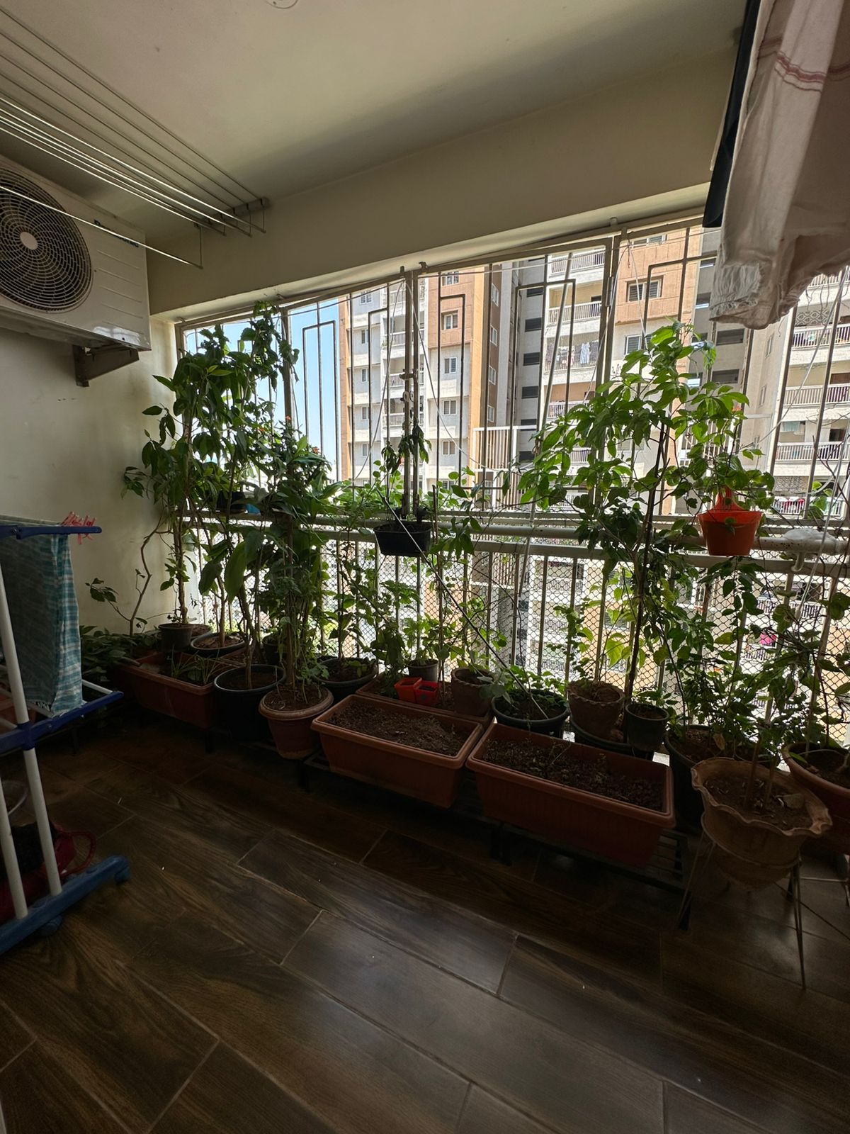 3 BHK + Pooja Room Apartment For Sale in My Home Avatar