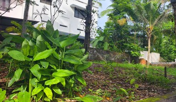  Plot – Garden View at Maruthumkuzhi - for Sale