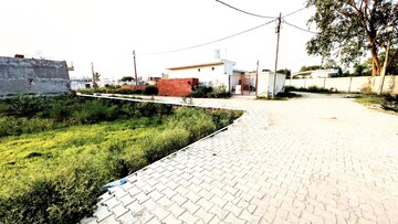Plot Area in  Plot at Sector 148 – for Sale