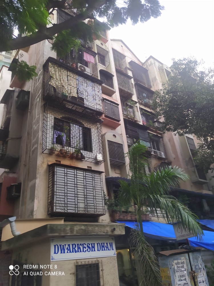 1 BHK Apartment For Rent in Dwarkesh Dham