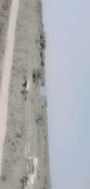  Plot – Exterior View View at Sector 148 - for Sale