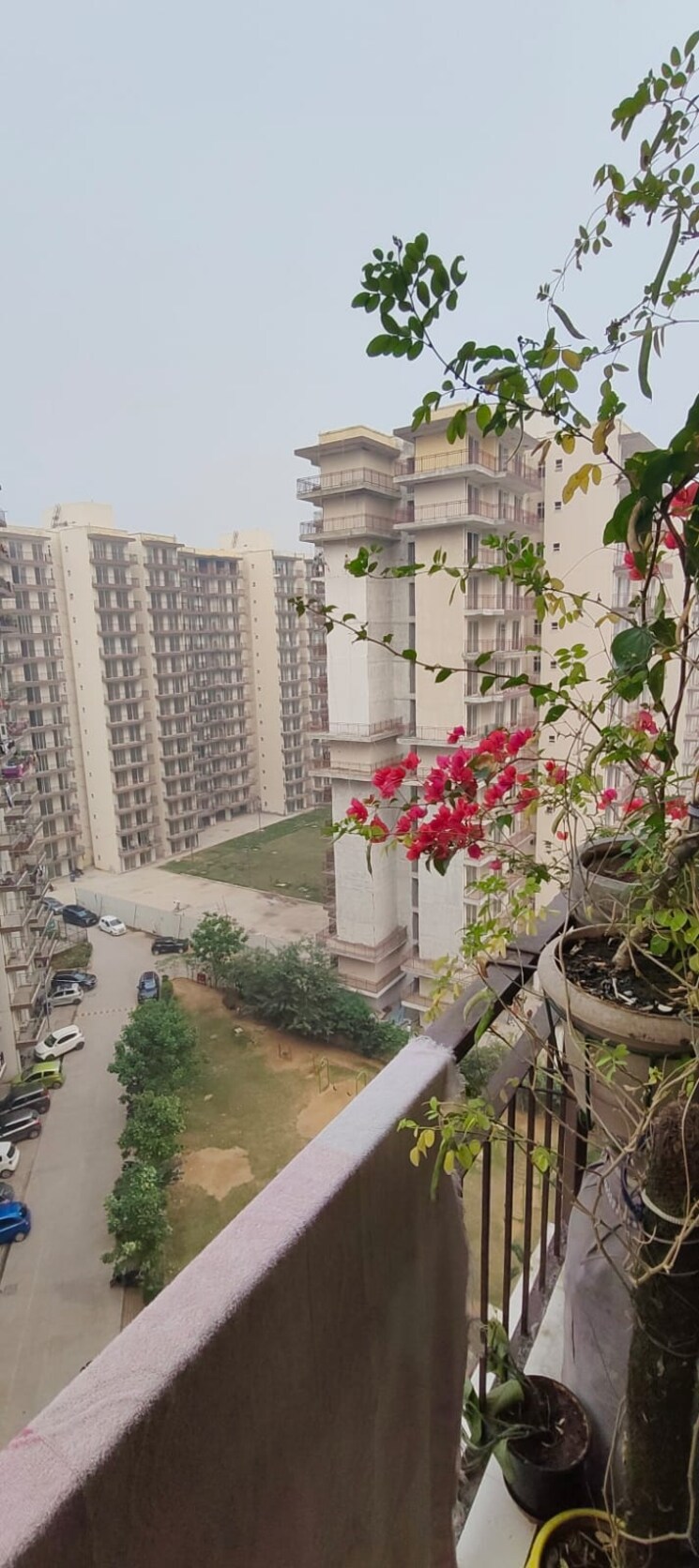 Balcony, rof-aalayas 2 Bedroom 717 Sq.Ft. Apartment In Sector 102 Gurgaon 8915907