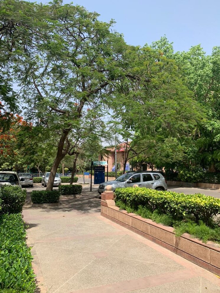 Garden, south city 1 3 Bedroom 500 Sq.Yd. Builder Floor In South City 1 Gurgaon 8916170