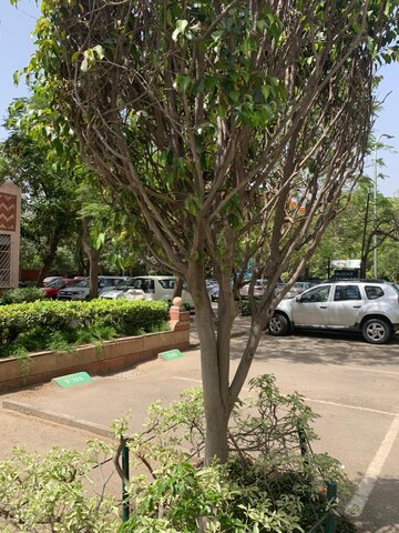 Parking in 3 BHK Builder Floor at South City 1 – for Rent