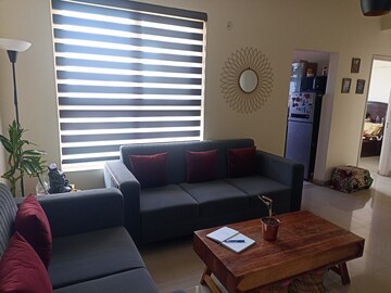 Living Room in 2 BHK Builder Floor at Preet Vihar – for Rent