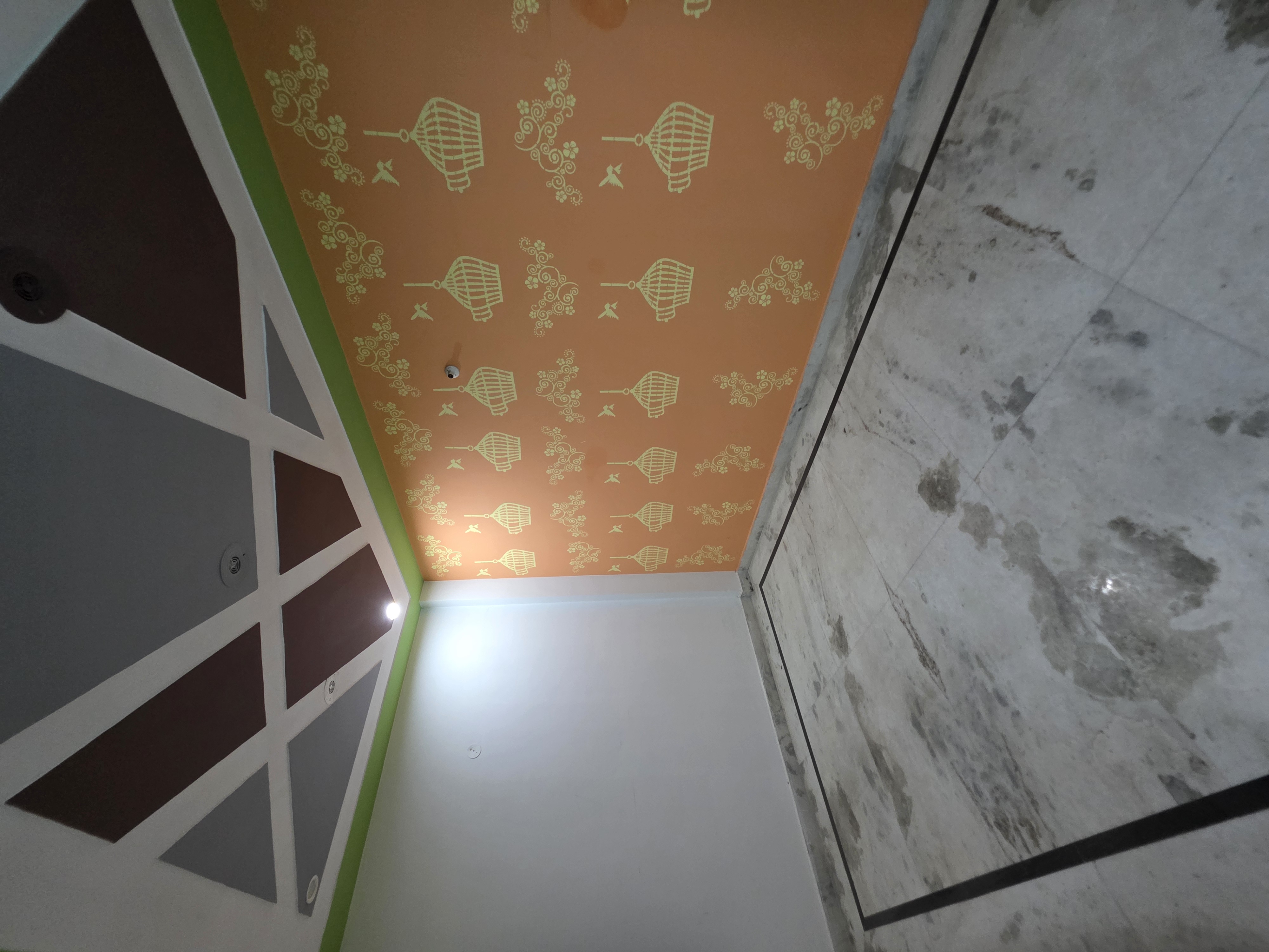 2 BHK + Study Room Builder Floor For Rent in Dhawan Properties