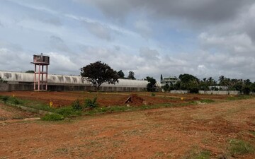 Plot For Sale in Arasanahalli Peddanahalli