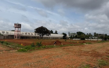 Plot For Sale in Arasanahalli Peddanahalli