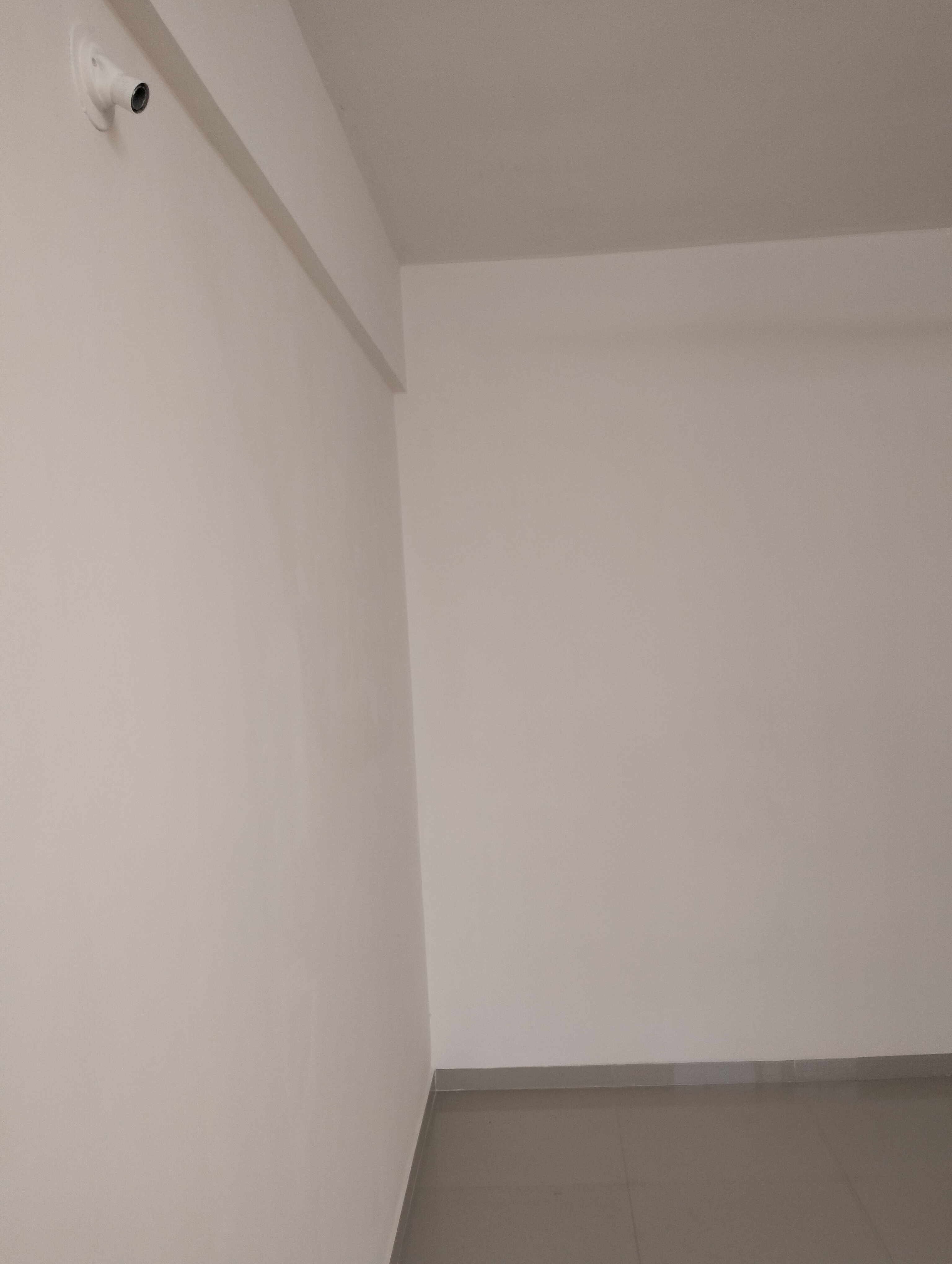 2 BHK Apartment For Rent in Rama Celestial City