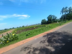 Plot Area in  Plot at Paritala – for Sale