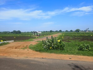 Plot Area in  Plot at Paritala – for Sale