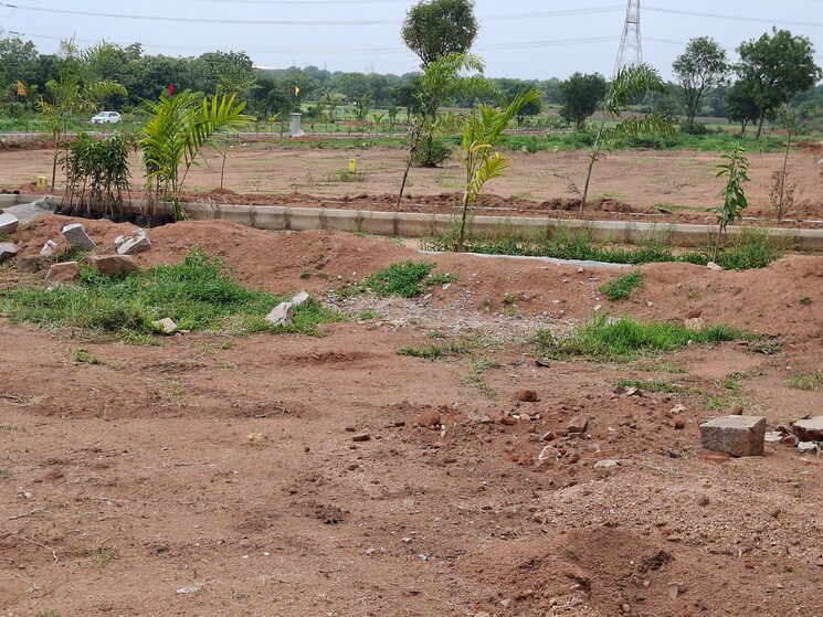 undefined, shadnagar  150 Sq.Yd. Plot In Shadnagar Hyderabad 8917051